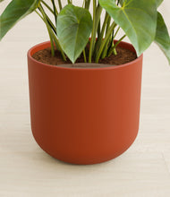 Load image into Gallery viewer, Earth Red stand:all