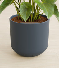 Load image into Gallery viewer, Iron Gray stand:all