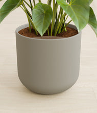 Load image into Gallery viewer, Sage Green stand:all