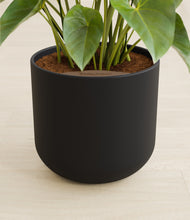 Load image into Gallery viewer, Stone Black stand:all