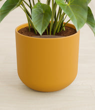 Load image into Gallery viewer, Sunset Orange stand:all