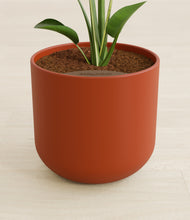 Load image into Gallery viewer, Earth Red stand:all