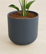 Load image into Gallery viewer, Iron Gray stand:all