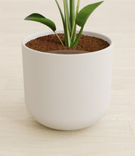 Load image into Gallery viewer, Natural Bamboo stand:all