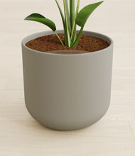 Load image into Gallery viewer, Sage Green stand:all