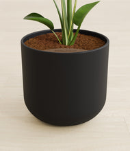 Load image into Gallery viewer, Stone Black stand:all