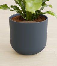 Load image into Gallery viewer, Iron Gray stand:all