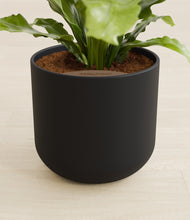 Load image into Gallery viewer, Stone Black stand:all