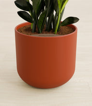 Load image into Gallery viewer, Earth Red stand:all