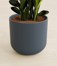 Load image into Gallery viewer, Iron Gray stand:all