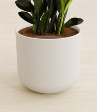 Load image into Gallery viewer, Natural Bamboo stand:all