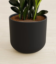 Load image into Gallery viewer, Stone Black stand:all