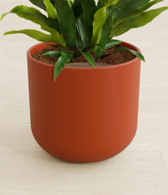 Load image into Gallery viewer, Earth Red stand:all