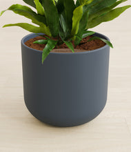 Load image into Gallery viewer, Iron Gray stand:all