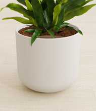 Load image into Gallery viewer, Natural Bamboo stand:all