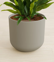 Load image into Gallery viewer, Sage Green stand:all