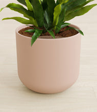 Load image into Gallery viewer, Sandy Pink stand:all