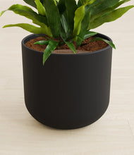 Load image into Gallery viewer, Stone Black stand:all