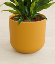 Load image into Gallery viewer, Sunset Orange stand:all