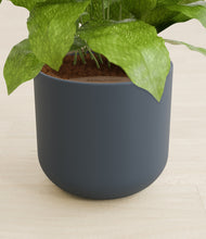 Load image into Gallery viewer, Iron Gray stand:all