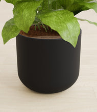 Load image into Gallery viewer, Stone Black stand:all