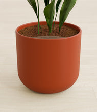 Load image into Gallery viewer, Earth Red stand:all