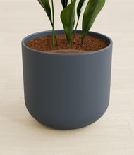 Load image into Gallery viewer, Iron Gray stand:all