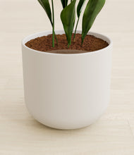 Load image into Gallery viewer, Natural Bamboo stand:all