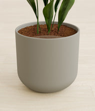 Load image into Gallery viewer, Sage Green stand:all