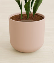 Load image into Gallery viewer, Sandy Pink stand:all