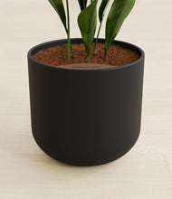 Load image into Gallery viewer, Stone Black stand:all