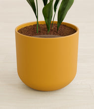 Load image into Gallery viewer, Sunset Orange stand:all