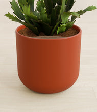 Load image into Gallery viewer, Earth Red stand:all