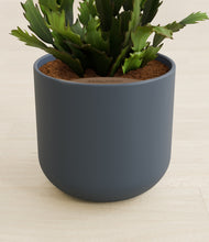 Load image into Gallery viewer, Iron Gray stand:all