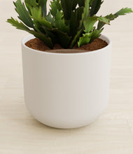 Load image into Gallery viewer, Natural Bamboo stand:all