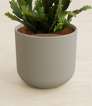 Load image into Gallery viewer, Sage Green stand:all