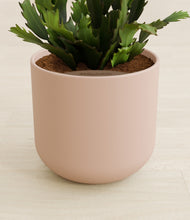 Load image into Gallery viewer, Sandy Pink stand:all