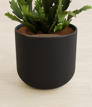 Load image into Gallery viewer, Stone Black stand:all