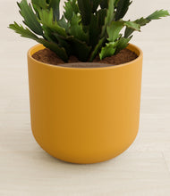 Load image into Gallery viewer, Sunset Orange stand:all