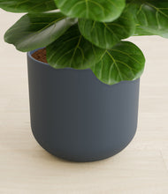 Load image into Gallery viewer, Iron Gray stand:all