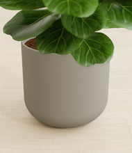 Load image into Gallery viewer, Sage Green stand:all