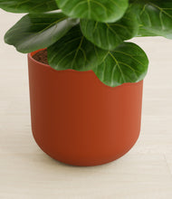 Load image into Gallery viewer, Earth Red stand:all