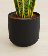 Load image into Gallery viewer, Stone Black stand:all