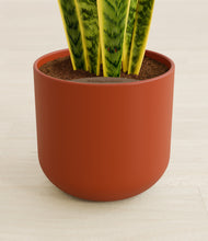 Load image into Gallery viewer, Earth Red stand:all