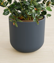 Load image into Gallery viewer, Iron Gray stand:all