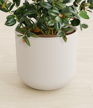 Load image into Gallery viewer, Natural Bamboo stand:all