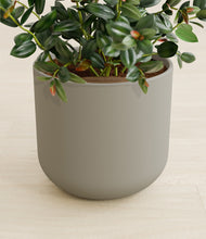 Load image into Gallery viewer, Sage Green stand:all