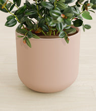 Load image into Gallery viewer, Sandy Pink stand:all