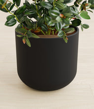 Load image into Gallery viewer, Stone Black stand:all