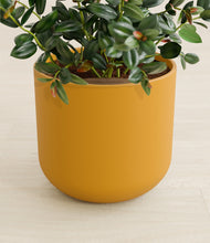 Load image into Gallery viewer, Sunset Orange stand:all